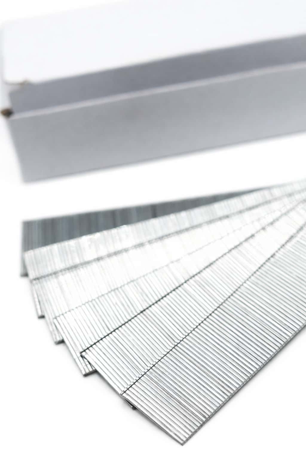 F Staple – 2
