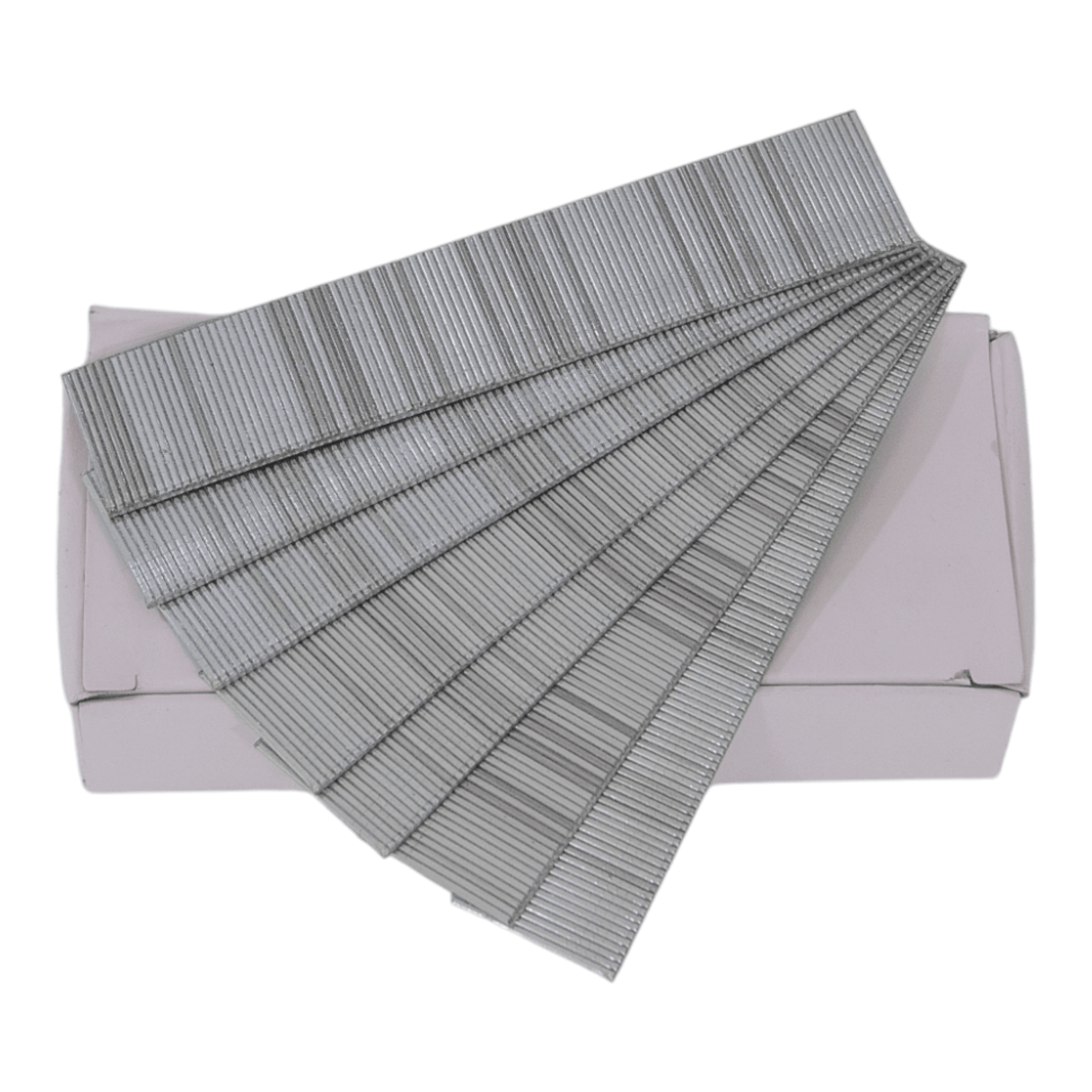 F Staple – 3